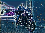 Avatar de Usuario